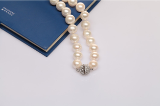揭秘珍珠母贝与天然珍珠 从工艺品到珠宝级的市场探析