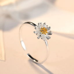 海丰县城东镇百韵美首饰厂 珠宝饰品批发价格及厂家优势解析